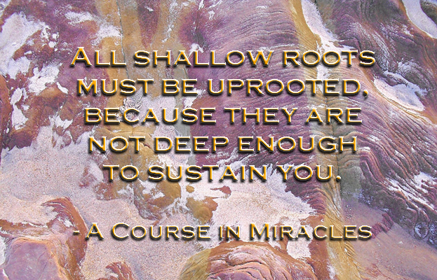 "All shallow roots must be uprooted, because they are not deep enough to sustain you." - A Course in Miracles