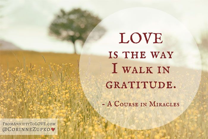 Love-is-the-way-I-walk-in-gratitude