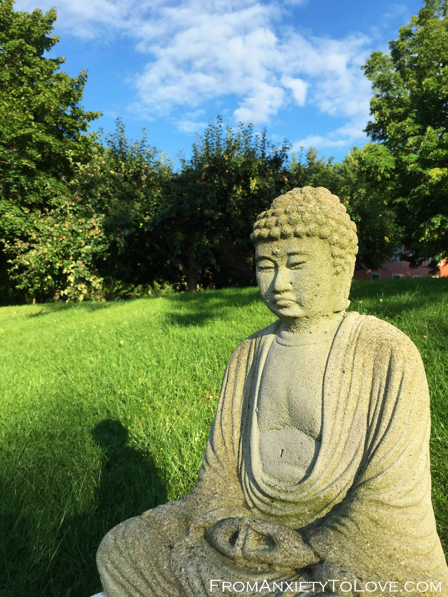 Buddha-in-the-grass-FromAnxietyToLoveDotCom