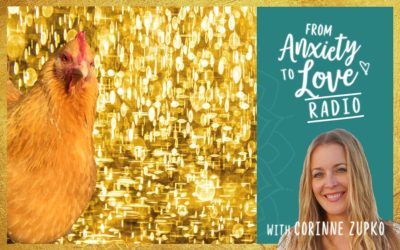 Episode 25: A Visit from my Golden Angel Chicken